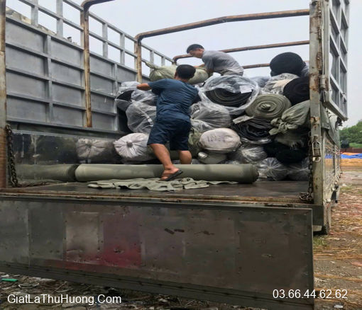 Nhân Giặt Xử lý  Vải  Cây